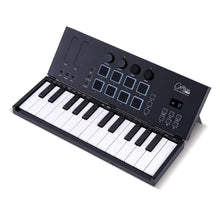 Blackstar Carry-on Folding Controller 25
