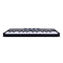 Blackstar Carry-on Folding Controller 25