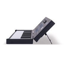 Blackstar Carry-on Folding Controller 25