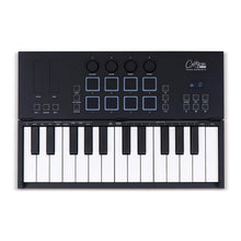 Blackstar Carry-on Folding Controller 25