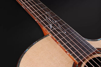 Furch MC Red  Gc-SR (L.R.Baggs SPA) (Furch Hard Case) Acoustic Guitar