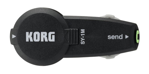 KORG SY1M