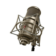 Lauten Audio Clarion FC-357 Microphone