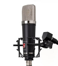 Lauten Audio LA-220 V2 Condenser Microphone