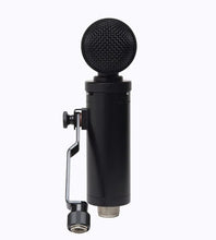 Lauten Audio LS-308 Microphone