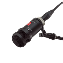 Lauten Audio LS-408 Microphone