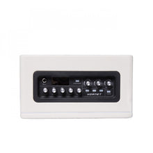 Mooer Hornet 15i Modeling Amp White