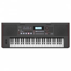 Roland E-X50 61-Keys Arranger Keyboard