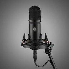 Voyage Audio Spatial Mic Dante