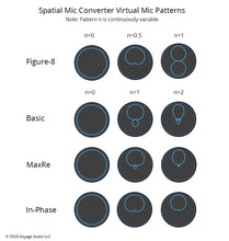 Voyage Audio Spatial Mic Dante