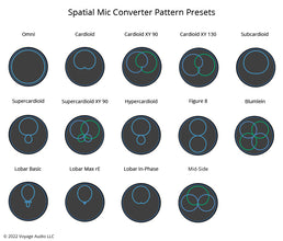 Voyage Audio Spatial Mic Dante