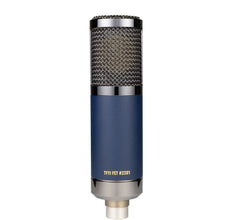 Telefunken TF 11 Matched Pair Microphone
