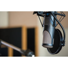 sE Electronics Rupert Neve RNT Multi-pattern Large-diaphragm Tube Condenser Microphone