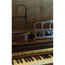 sE Electronics sE7 Small Diaphragm Condenser Microphone